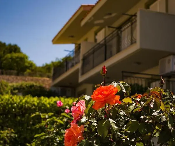 Apartamento Meraki Lassi (Kefalonia)